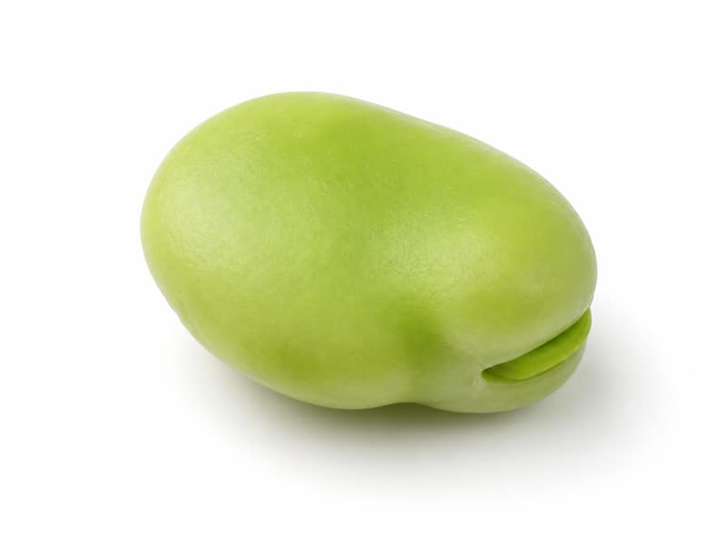 Bób (młody) – białko 7g, kalorie 88 kcal, węglowodany i tłuszcz na 100g | zdrowe odżywianie